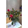Prestige Flowers - Flower delivery  - Photo 1