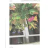 Avas Flowers - Incorrect order - Photo 2