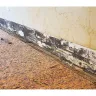 Ashco Exteriors Inc - Roofing service - Photo 4