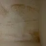 Equity Residential - Water Damage Inside the Apartment Dwelling - Photo 2