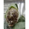 Tesco - Rancid cabbage, rock hard bread, and fatty bacon - Photo 1