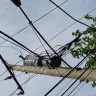 PECO - Street pole replacement service - Photo 3