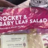 Iceland Foods - A huge bug in my salad - Photo 1