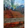 Tirumala Tirupati Devasthanams [TTD] - Walking pilgrims are more stressed because of ttd rules - Photo 1