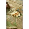 Taco Bell - Foreign object in burrito