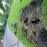 CenturyLink - Damage to HOA irrigation system - Photo 1