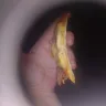 Debonairs Pizza - Meaty crammed crust pizza complaint not resolved - Photo 1