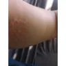 Proroid.com - Proroid Canada warning northern pharma testosterone - Photo 3