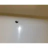 Days Inn - Over charged and won't give a refund, safety issues - Photo 3