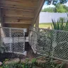 Lowe's - Fence installation - Photo 7