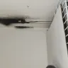 Flex Seal - Flex seal spray - Photo 9