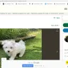 Pets4Homes - Adverts being hacked and paid for advert missing