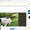 Pets4Homes - Adverts being hacked and paid for advert missing - Photo 1