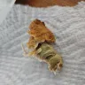 Foster Farms - Crispy strips frozen chicken tenders