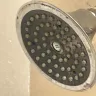 Extended Stay America - Unsanitary conditions of both the hotel in general and the room that my wife was staying in, as well as failure of hotel staff to address complaints - Photo 2