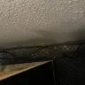 Days Inn - Disgusting accommodations - Photo 6
