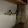 American Home Shield [AHS] - Plumber help for no water to the home - Photo 1