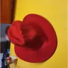 Temu - Felt fadora hats