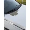 Hyundai - White paint peeling on roof and hood in sheetsood