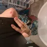 Rogers Communications - Injury in your Rogers Store, Calgary, AB - Photo 2