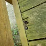 Permaseal USA - Company not honoring a 25 year warranty/guarantee against any mold, rot, decay, or deterioration of wood deck after treatment with their sealant!
