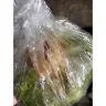 Morrisons - Food quality, no date on food no customer service! - Photo 4