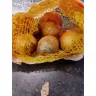 IGA Supermarkets - Yellow onion pack from the brand "Compliments" - Photo 3