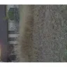 Pizza Hut - The driver and the food - Photo 1