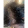 Toni & Guy - Hair coloring - Photo 2