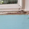 Champion Windows - Champion windows in our sun room - Photo 1