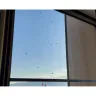 La Quinta Inns & Suites - Bugs in room