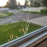 Alside Windows - Bay window that broke - Photo 4