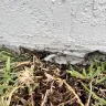 Lennar - Not covering home issues under 1yr warranty - Photo 1