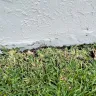 Lennar - Not covering home issues under 1yr warranty - Photo 6