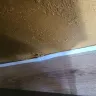 Expert Home Builders, Inc - Repair of sunroom room and sunroom from water damage