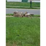 FedEx - Property damage - Photo 3