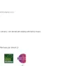 Allied International Credit - Damaging my credit score - Photo 7