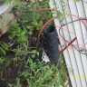 Comcast / Xfinity - Failure to provide service - Photo 1