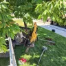CenturyLink - Installation of fibre cable resulting in damage to my sprinkler system and denial of use of garden planter in back yard - Photo 1