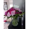 Blossom Flower Delivery - Floral arrangement for death in the family