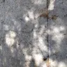 PODS Enterprises - Damage to property - Photo 2