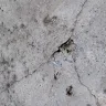 PODS Enterprises - Damage to property - Photo 5