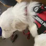 Allsups Convenience Stores - Denied access with my service dog - Photo 1