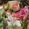 FloraQueen - Flowers are completely wilted and destroyed at arrival