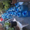 ReadyRefresh - I have too many 5 gal containers - Photo 1