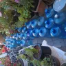 ReadyRefresh - I have too many 5 gal containers - Photo 2