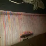 Canvas Castle - Banksy canvas art - Photo 3