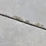 LGI Homes - Made false claims about garage floor - Photo 4