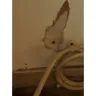 Motel 6 - room unsafe - Photo 5