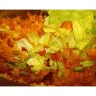 Casey's - Pizza, and delivery - Photo 1